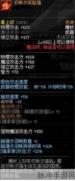 DNF手游热门宠物深度揭秘,切希尔笑脸猫实力与萌力全解析