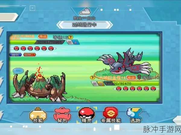 口袋妖怪新世代不删档开启,玩法全面汇总与攻略指南