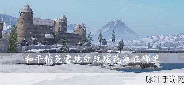 和平精英探索之旅,揭秘九黎苗戏楼位置全攻略