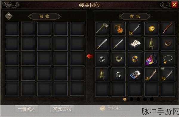 重生细胞罗宾汉装束获取攻略,全面解析装备获取方法与游戏应用