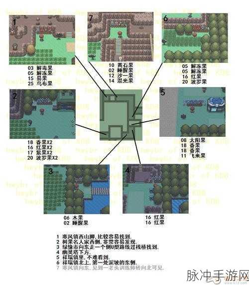 口袋妖怪手游攻略，全面解析树果获取途径