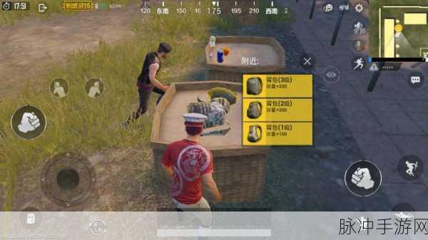 绝地求生刺激战场，物品取舍与背包空间完美分配攻略