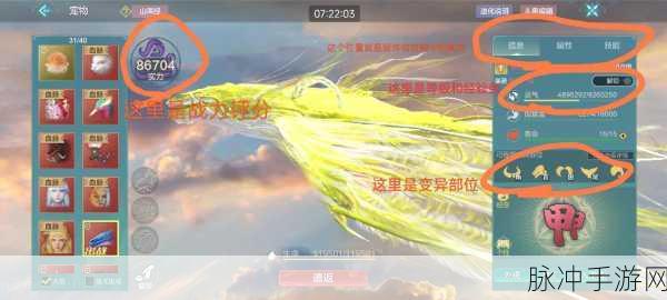天谕手游英灵宠物培育全攻略,深度选择与养成指南
