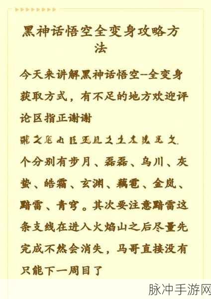 黑神话悟空，解锁多元变身形态，战力飙升秘籍全解析