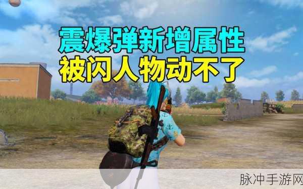 绝地求生新版本深度解析，震爆弹使用技巧及效果全攻略