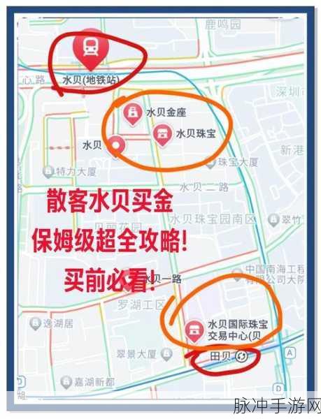 宝藏世界黄金海贝获取途径与方法全解析指南