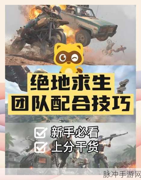 绝地求生手游攻略,深入解析辅助制作与实战技巧