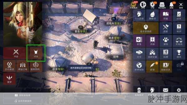 黑色沙漠手游团战玩法全解析，热血激战，荣耀之路