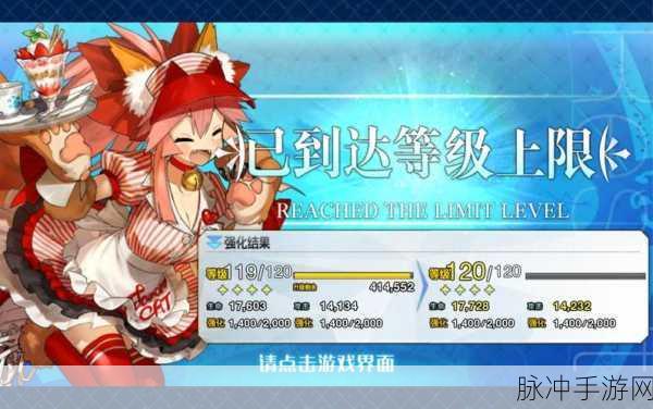 FGO角色深度解析，玉藻猫宝具技能属性图鉴及其实力评估