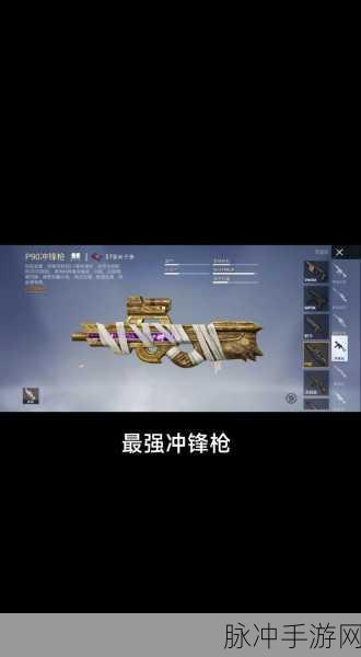 和平精英手游吃鸡中各类武器强度排行详解与攻略