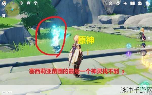 原神深度攻略,全面解析塞西莉亚苗圃副本解锁技巧