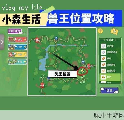 小森生活动物分布位置全攻略,揭秘动物们的刷新地点