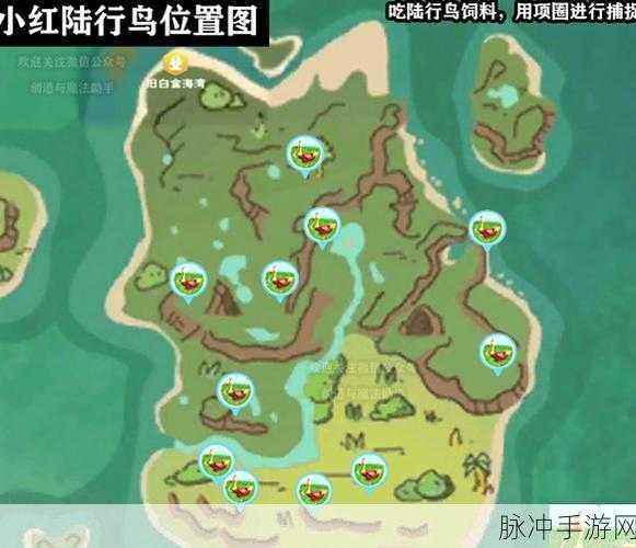 创造与魔法游戏内路行鸟刷新位置及捕捉技巧全面深度解析