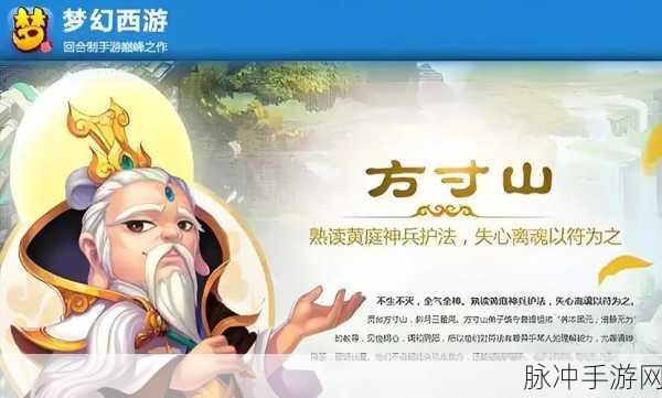 梦幻西游3D方寸山，策略布局与极致伤害输出的完美融合体验