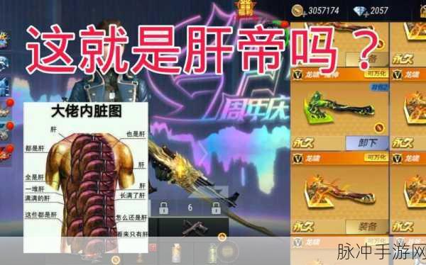 2025年CF手游龙啸高效刷法全面解析