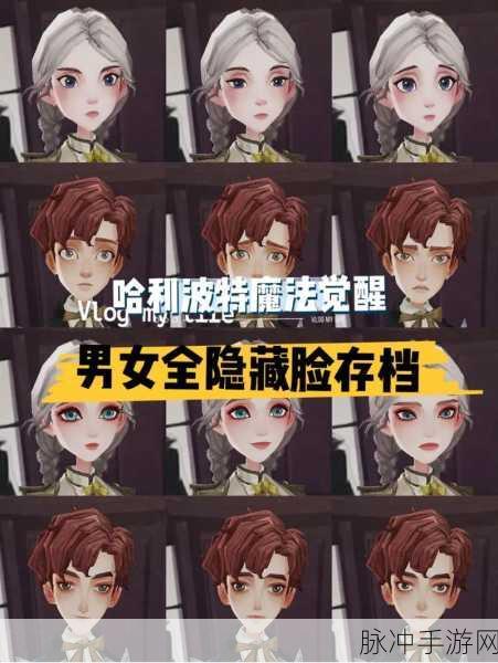 哈利波特魔法觉醒重新捏脸功能全解析，打造你的专属巫师形象