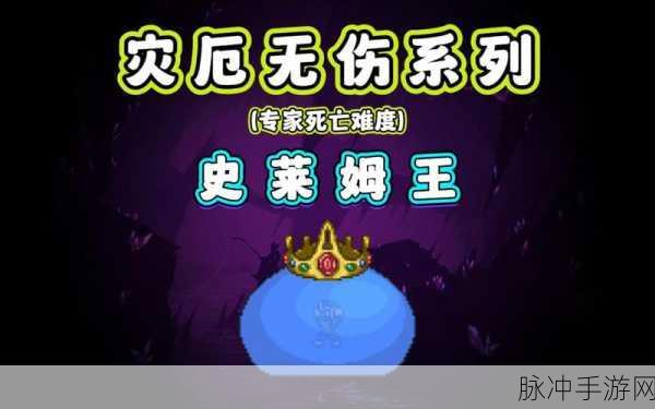 全面解析,泰拉瑞亚史莱姆王掉落物品一览与获取攻略