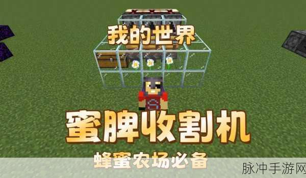 我的世界蜂蜜获取攻略,蜂蜜采集途径全面解析
