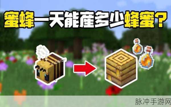 我的世界蜂蜜获取攻略,蜂蜜采集途径全面解析