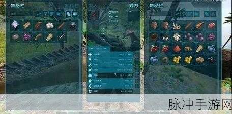 方舟,生存进化手游——升级与技能点全面指南