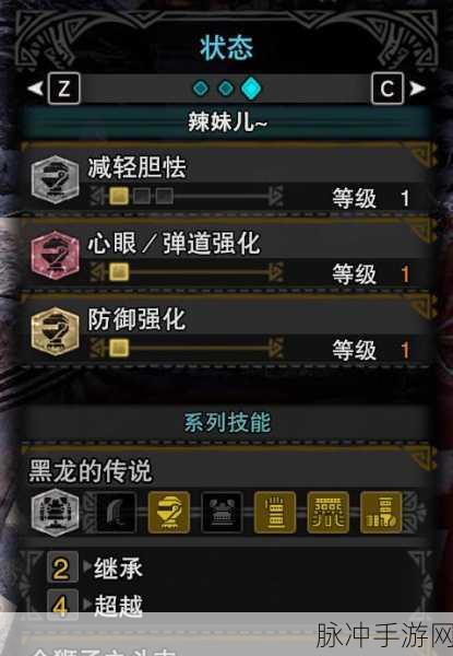 怪物猎人世界冰原黑龙重弩各流派配装深度汇总