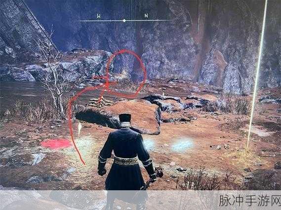 艾尔登法环深度攻略，揭秘托莉娜暗剑的获得方法