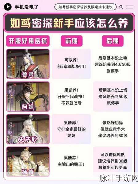 如鸢手游深度攻略，紫卡培养建议与宠物技能升级优先级