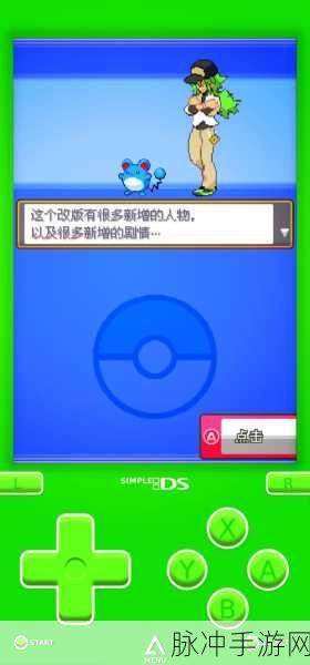 口袋妖怪黑2,捉宠金手指全攻略指南
