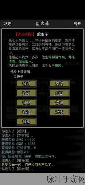 放置江湖慕容山庄全面攻略，解锁玩法技巧，深度探索慕容山庄之道