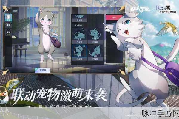 非人学园手游攻略,全面解析非人学园渠道服