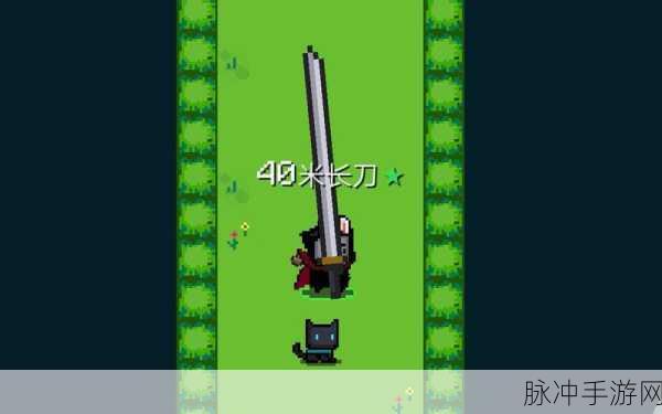 元气骑士船长勋章深度解析,作用与攻略一览