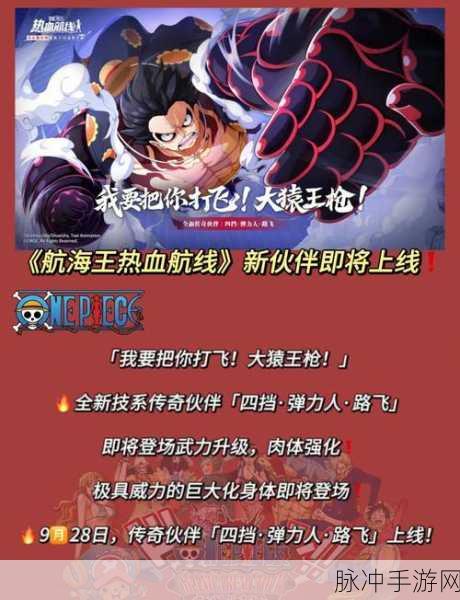 航海王热血航线佐罗伙伴搭配攻略，揭秘最佳组合，助你征服伟大航路