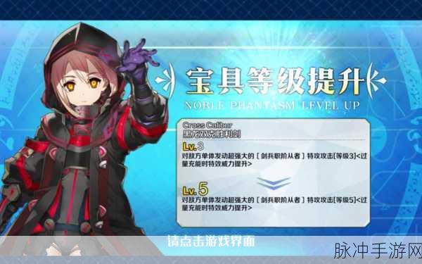 FGOBX毛宝具本效果全面解析与攻略指南