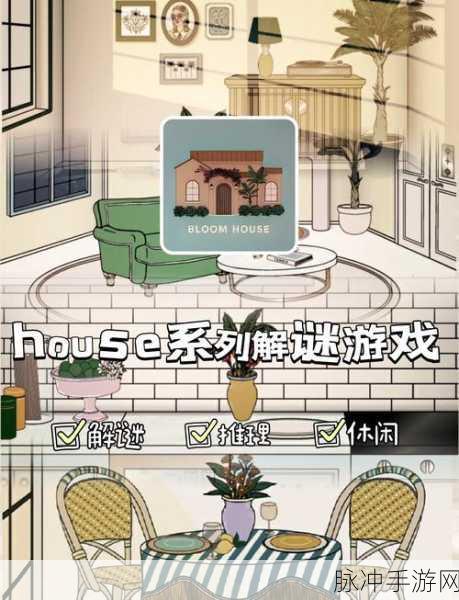 谜底大揭秘下载，趣味解谜游戏深度攻略与数据解析