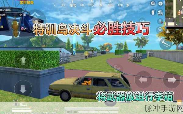 和平精英训练岛决斗玩法深度剖析，决斗技巧与策略全攻略