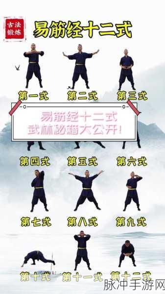 烟雨江湖易筋经修炼指南，武学出处及技能属性全解析
