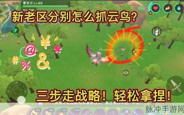 2025年创造与魔法快速移动秘籍,全面解析跨地域穿梭指南!