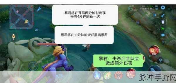 王者荣耀深度攻略，暴君与主宰的加成效果详解