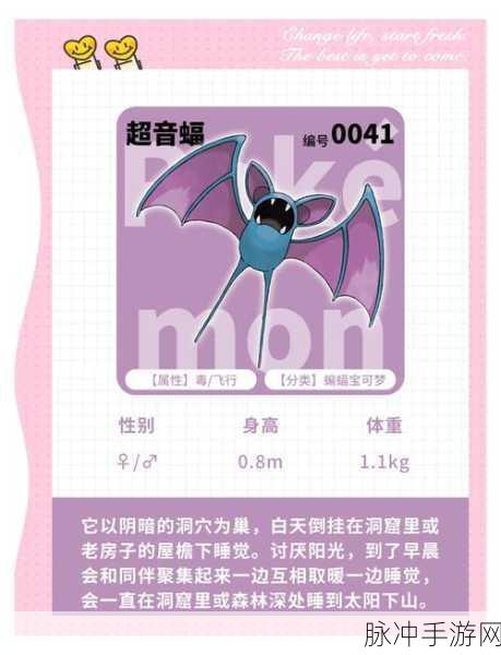 口袋妖怪复刻之大嘴蝠，深度解析进化历程与属性图鉴