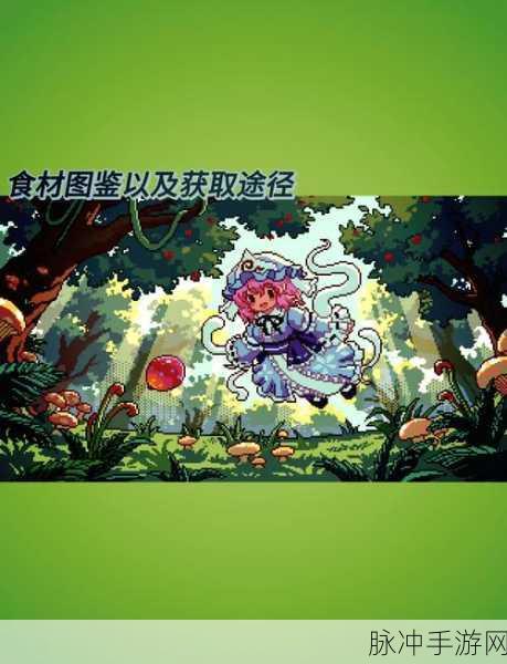 代号降临食材采集攻略,全面解析食材采集地点一览