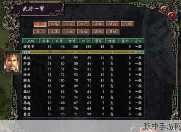 三国志9手游攻略,最强武将战队组合揭秘