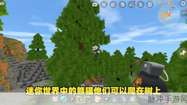 迷你世界深度攻略,游戏中熊猫驯服方法详解