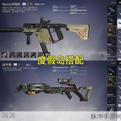 和平精英游戏攻略,详细解析如何踢人出房间