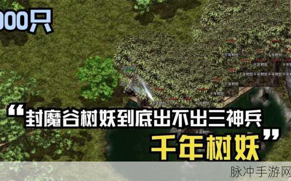 神鬼传奇,揭秘世界树副本与世界树枯枝坐标攻略