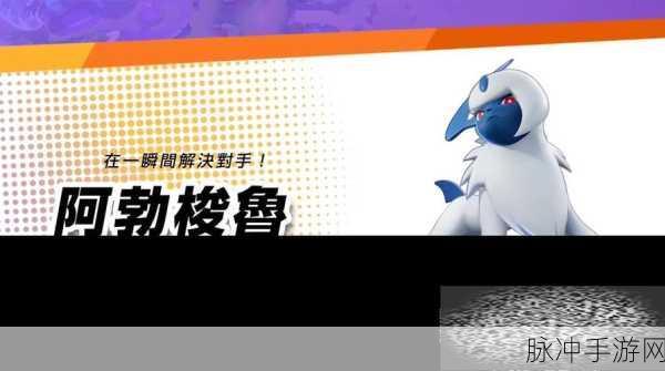 宝可梦大集结深度攻略，阿勃梭鲁最强招式组合技巧全面揭秘