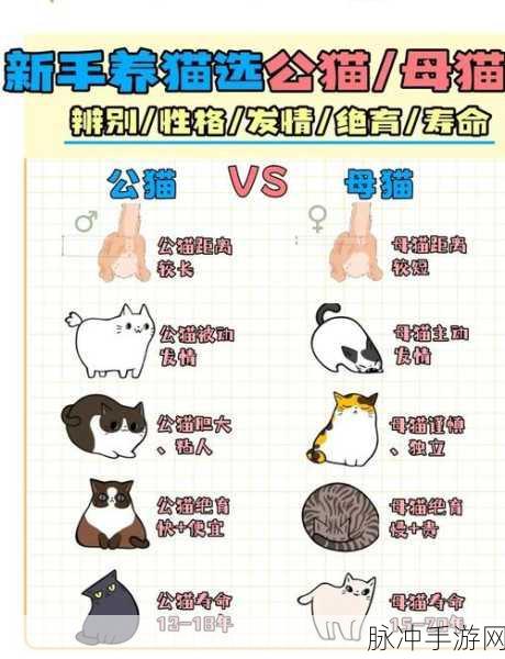 天涯明月刀手游猫猫性别转换全攻略