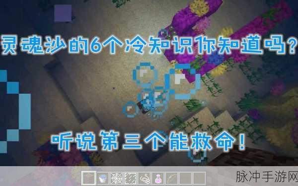 我的世界中国版，揭秘灵魂沙的奇妙用途与获取攻略
