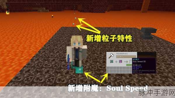 我的世界中国版,揭秘灵魂沙的奇妙用途与获取攻略
