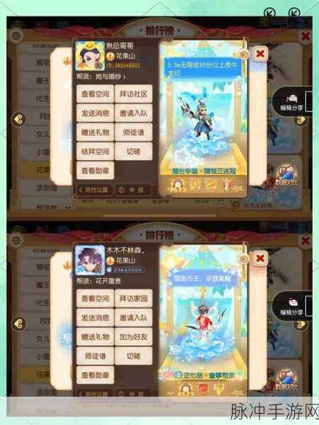 梦幻西游手游新门派花果山实战深度解析,技能策略与战场表现
