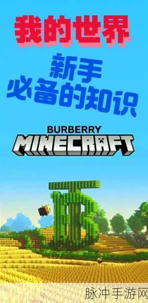 我的世界手游轻松放置模式开启攻略